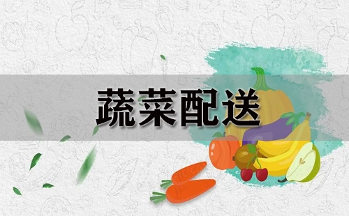 蔬菜配送指南-哪家蔬菜配送服务更优质