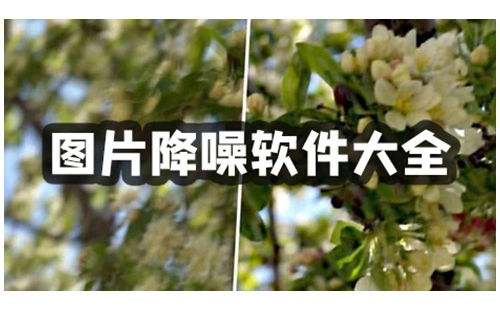 图片降噪软件汇总-哪款图片降噪软件更出色