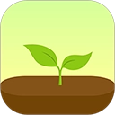 forest通用版