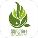 羽凡禾叶免费原版