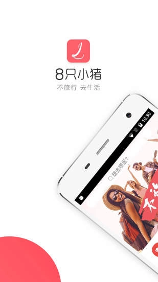 8只小猪官方正版