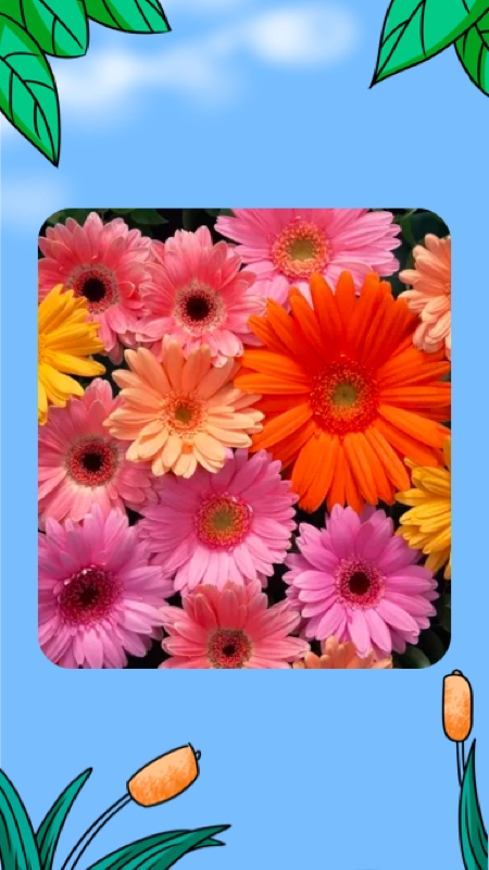 江南花园美如春安卓直装版