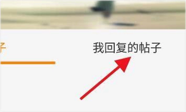 冒泡社区旧版本v12.02