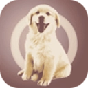 人狗交流器手机版