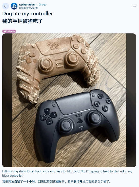 “PS5手柄”居然被狗狗啃坏了！网友纷纷吐槽：这主意也太馊了！
