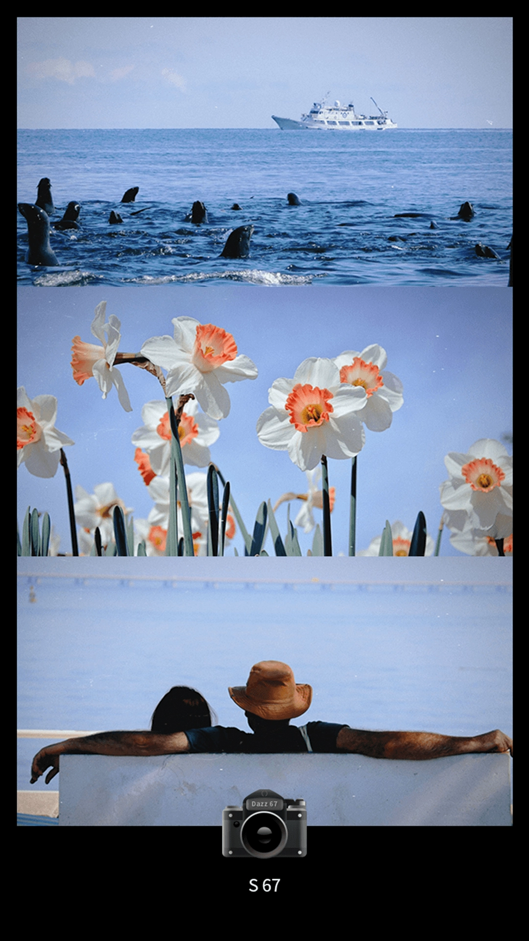 Dazz CCD相机安卓官方版