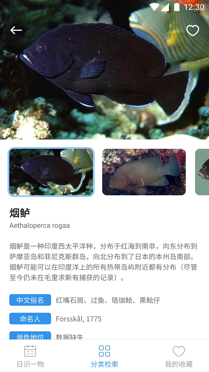 奇妙海洋通用版