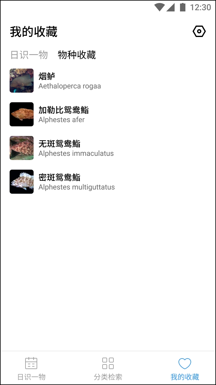 奇妙海洋通用版