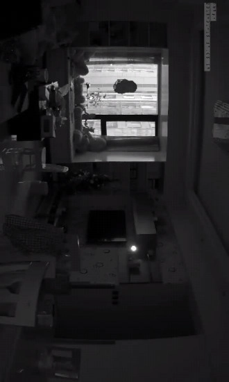 华迈千里眼安卓免费版