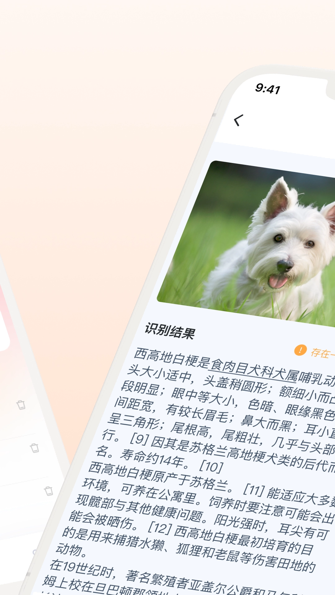 口袋识别安卓直装版