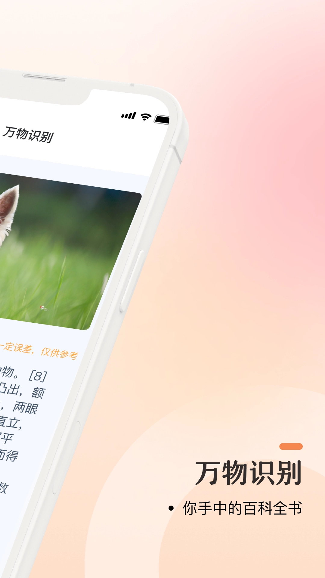 口袋识别安卓直装版