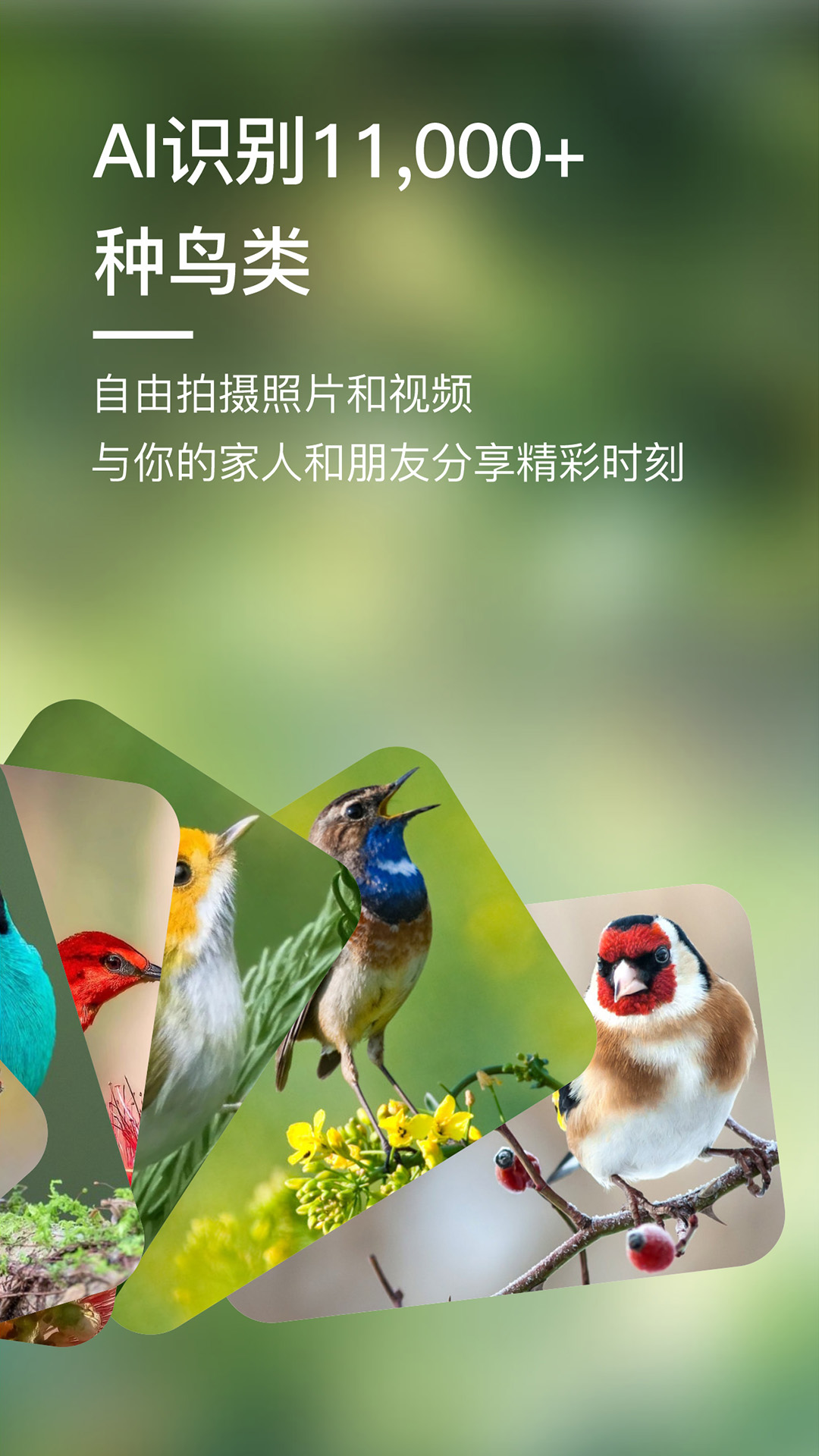 BirdLover最新免费版图5