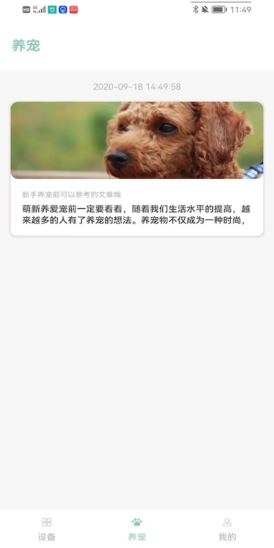 PETJC无广告版