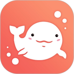 泡泡聊天手机最新版