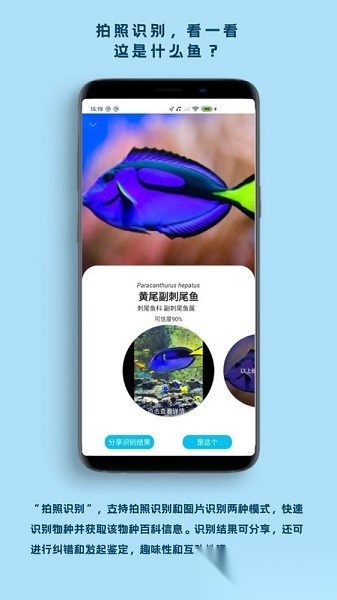 看鱼软件安卓直装版图2