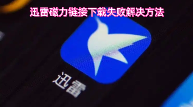 迅雷磁力链接无法下载的解决办法