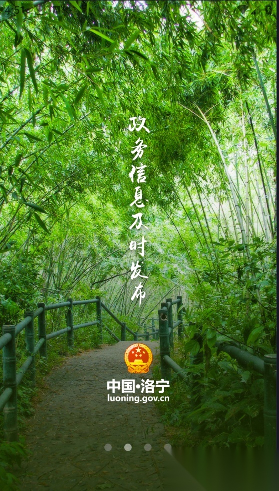 洛宁县政府安卓版图2