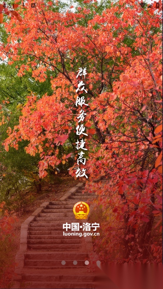 洛宁县政府安卓版图3