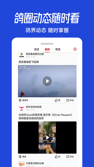青鸽网赛鸽成绩查询手机免费版图3