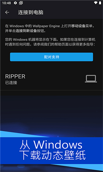 Steam壁纸引擎最新免费版图4