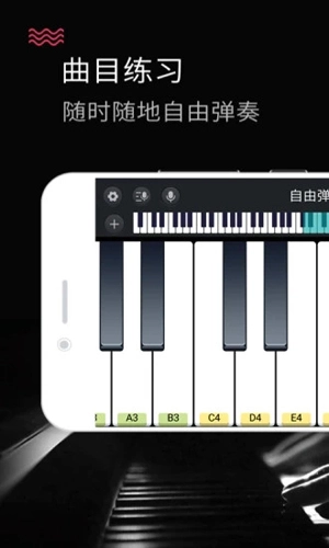 模拟钢琴通用版图1
