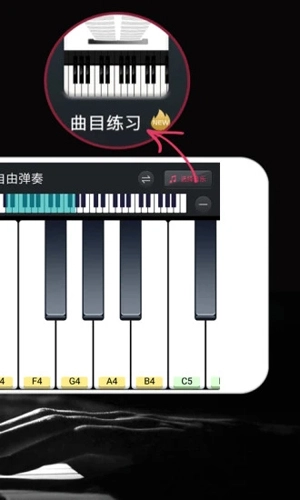 模拟钢琴通用版图2