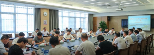 笛扬新闻手机版下载