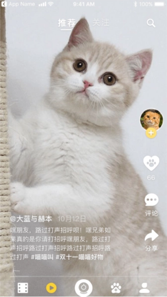 皮克方官方最新版图2