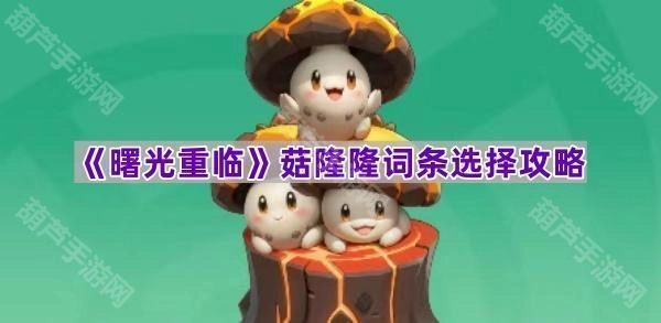 《曙光重临》菇隆隆词条搭配指南