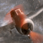 迷失森林官方版