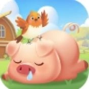 挪一头猪游戏官方版
