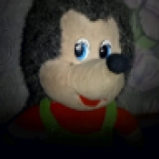 刺猬的五夜后宫安卓官方版