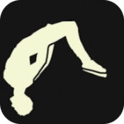 疯狂后空翻2安卓免费版