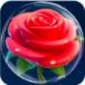 花花大挑战手机版