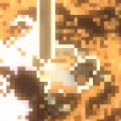 昆虫恐惧症官方最新版