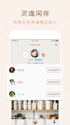 柏拉图直装版图4