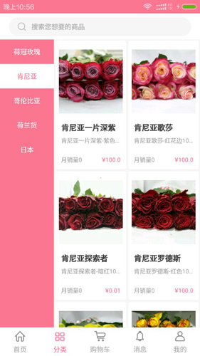 宋宇花城手机版(1)