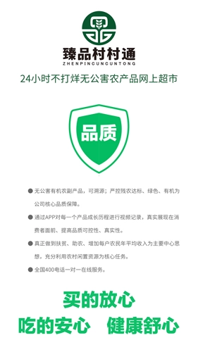 臻品村村通无广告版