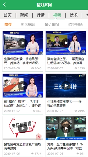 猪好多直装版图3