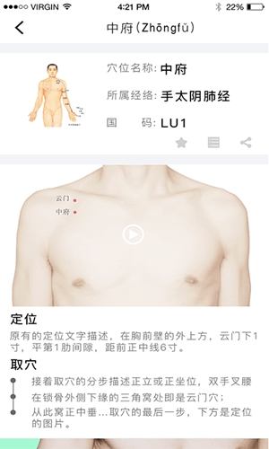 经络穴位图解官方最新版图2