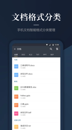 DS文件管理器手机免费版(1)