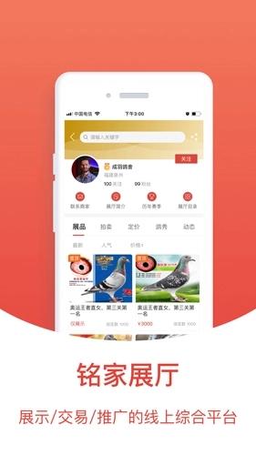 搜鸽天下图3