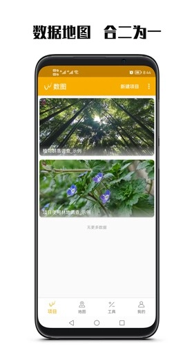 数图图5