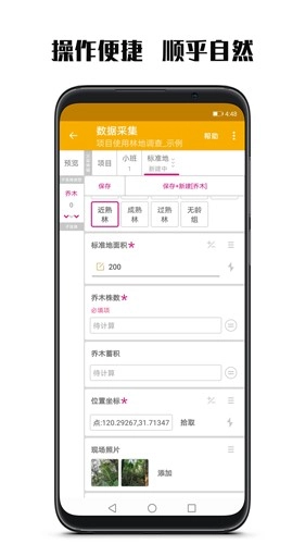 数图图1