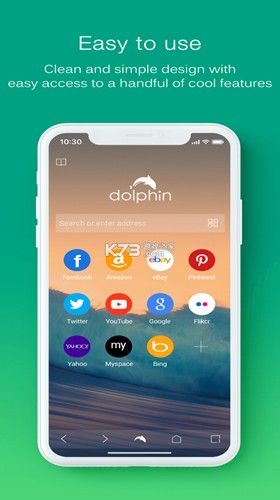 海豚浏览器国际服正版图3