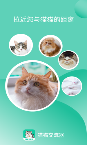 猫猫交流器官方正版(1)