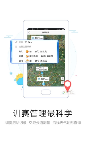 爱鸽者图2