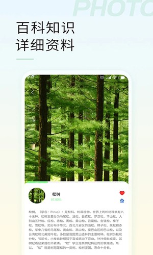 智能拍照识物官方最新版图3