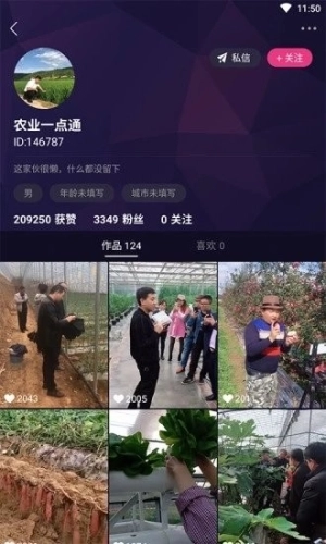 农兜图1