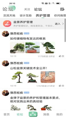 千盆网最新版图1